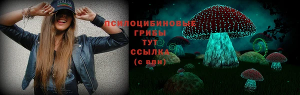 кокс Баксан