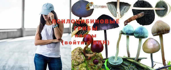кокс Баксан